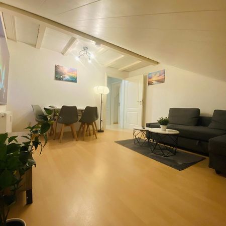 Deluxe Business Suite Mit Netflix Premium & Parkplatz, Zentral Zu Audi & Schwarz Gruppe With 2 Bedrooms Bad Friedrichshall Exterior photo